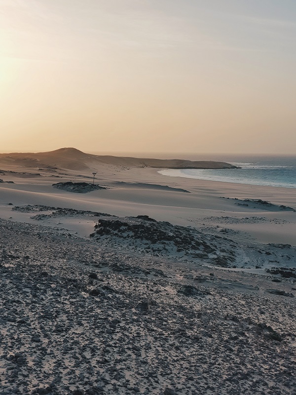 Arena Da Vinci seashore